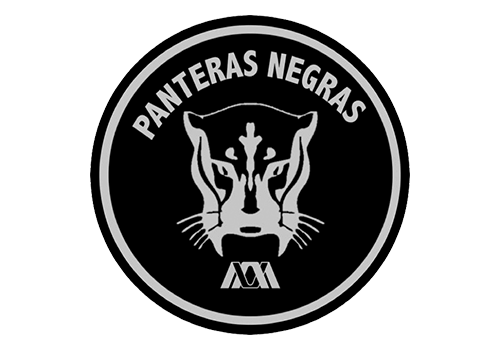Panteras Negras Rugby UAM